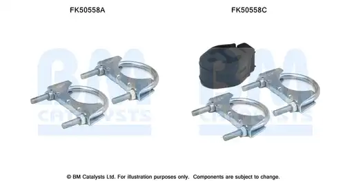  BM CATALYSTS FK50558