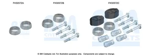  BM CATALYSTS FK50572