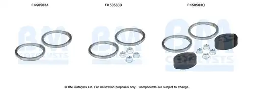  BM CATALYSTS FK50583