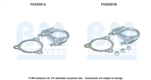  BM CATALYSTS FK50591