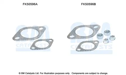  BM CATALYSTS FK50596