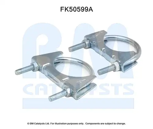  BM CATALYSTS FK50599