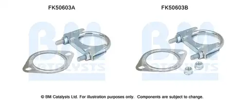  BM CATALYSTS FK50603