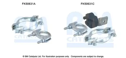  BM CATALYSTS FK50631