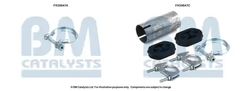  BM CATALYSTS FK50647