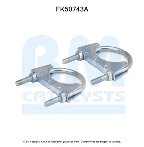  BM CATALYSTS FK50743