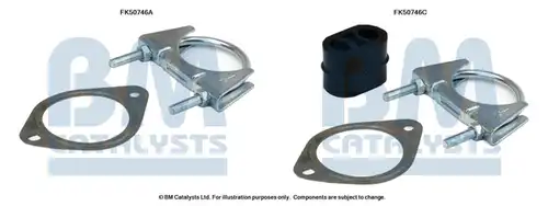  BM CATALYSTS FK50746