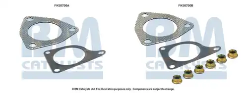  BM CATALYSTS FK50750