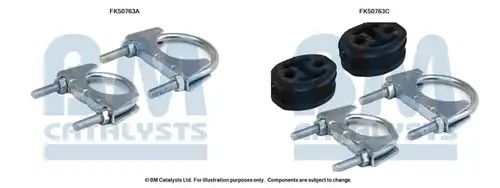  BM CATALYSTS FK50763