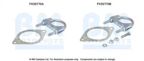  BM CATALYSTS FK50770