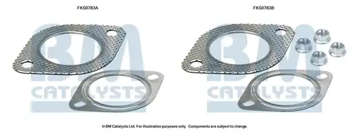  BM CATALYSTS FK50783