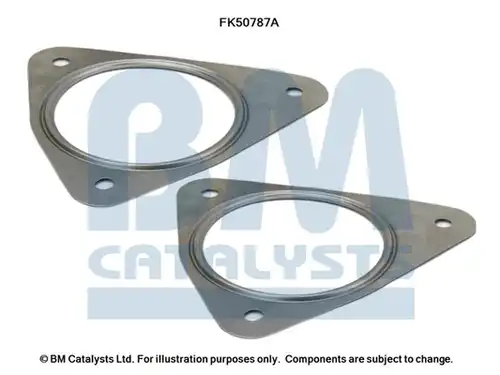  BM CATALYSTS FK50787