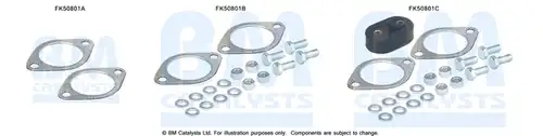  BM CATALYSTS FK50801