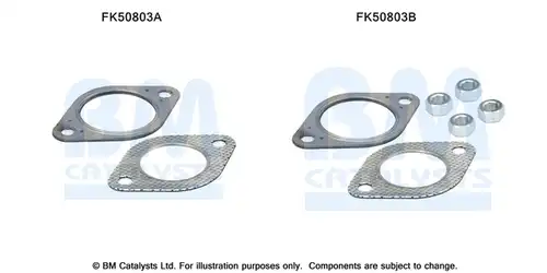  BM CATALYSTS FK50803