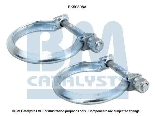  BM CATALYSTS FK50808