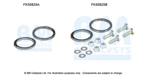  BM CATALYSTS FK50825