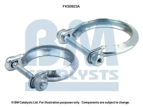  BM CATALYSTS FK50923