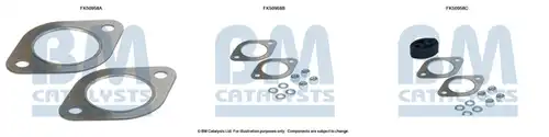  BM CATALYSTS FK50958