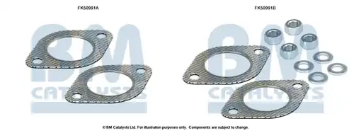  BM CATALYSTS FK50991