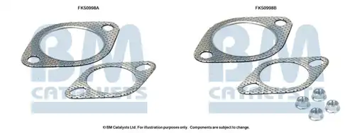  BM CATALYSTS FK50998