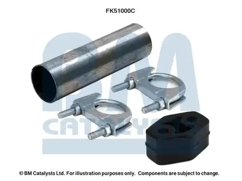  BM CATALYSTS FK51000