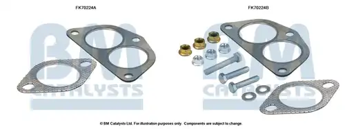  BM CATALYSTS FK70224