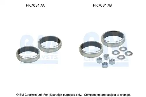  BM CATALYSTS FK70317