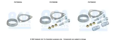  BM CATALYSTS FK70603