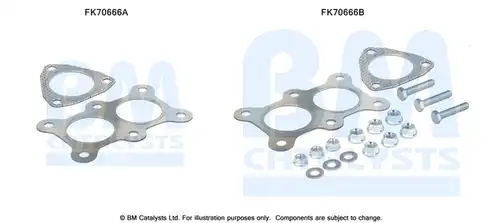  BM CATALYSTS FK70666