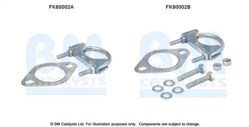  BM CATALYSTS FK80002