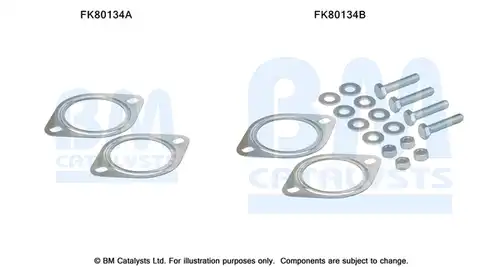  BM CATALYSTS FK80134