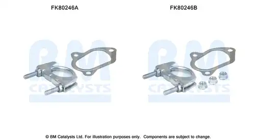  BM CATALYSTS FK80246