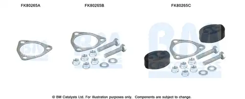  BM CATALYSTS FK80265