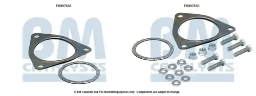  BM CATALYSTS FK80753