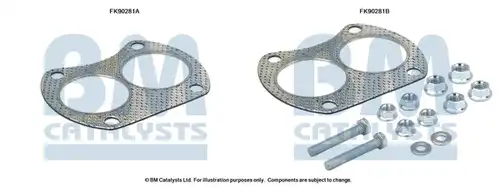  BM CATALYSTS FK90281