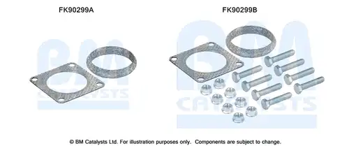  BM CATALYSTS FK90299