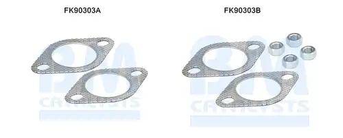  BM CATALYSTS FK90303