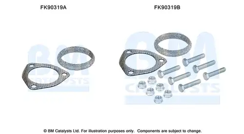  BM CATALYSTS FK90319