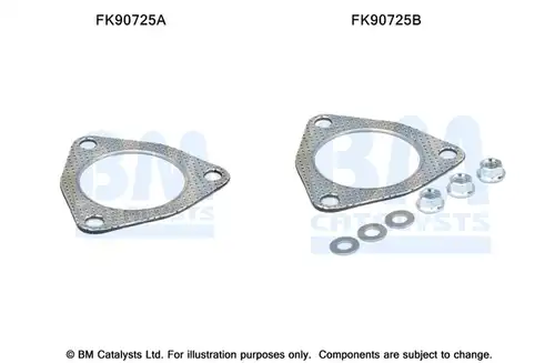  BM CATALYSTS FK90725