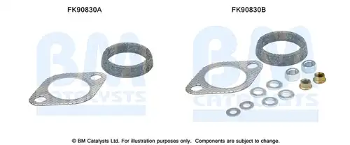  BM CATALYSTS FK90830