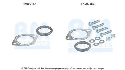  BM CATALYSTS FK90918