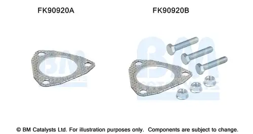  BM CATALYSTS FK90920