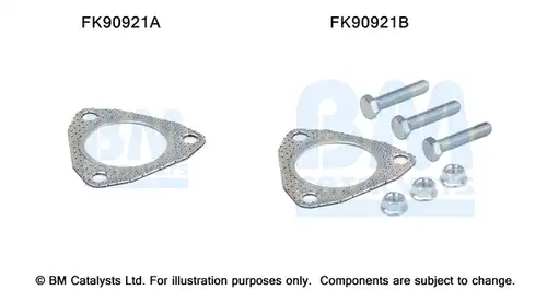  BM CATALYSTS FK90921