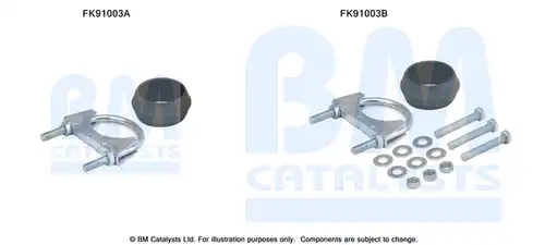  BM CATALYSTS FK91003