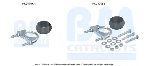  BM CATALYSTS FK91005