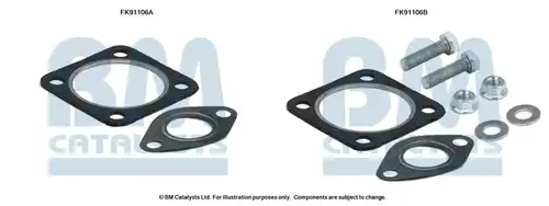  BM CATALYSTS FK91106