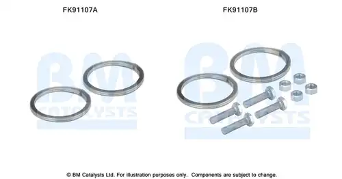  BM CATALYSTS FK91107