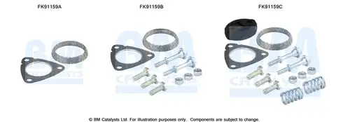  BM CATALYSTS FK91159