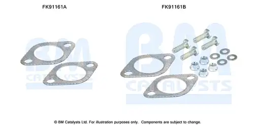  BM CATALYSTS FK91161