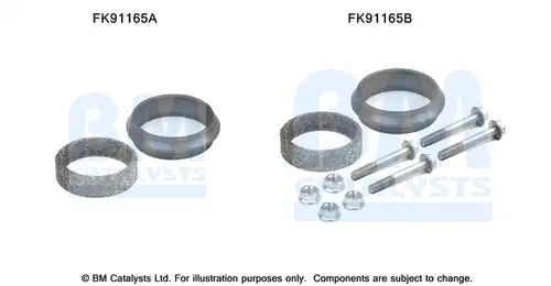  BM CATALYSTS FK91165